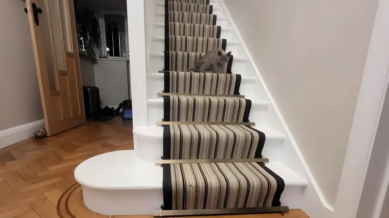 Fully fitted stair carpet or a runner with rods, cut and folded around winders and bullnose steps. Two of our own staircases are on this page.